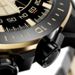 "Bold in Black and Gold"